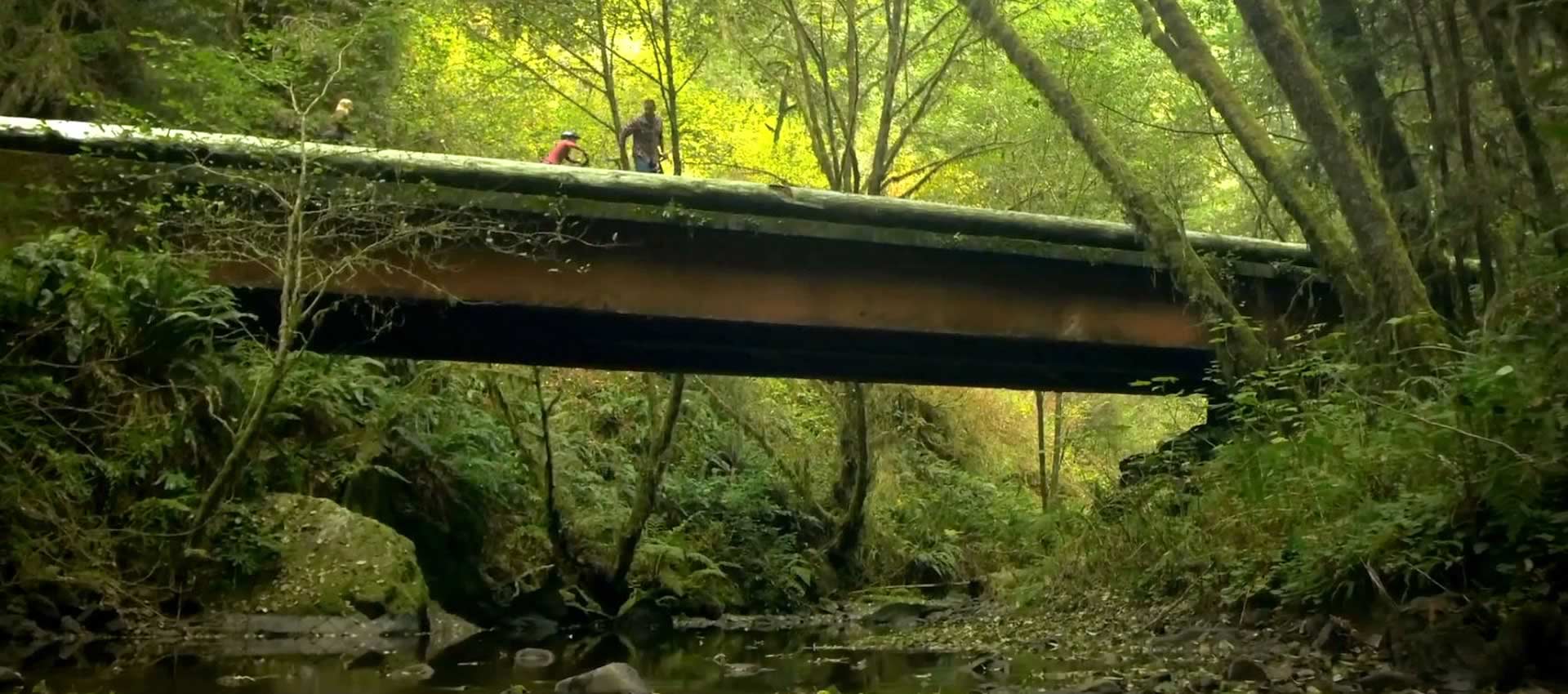 redwood-bridge