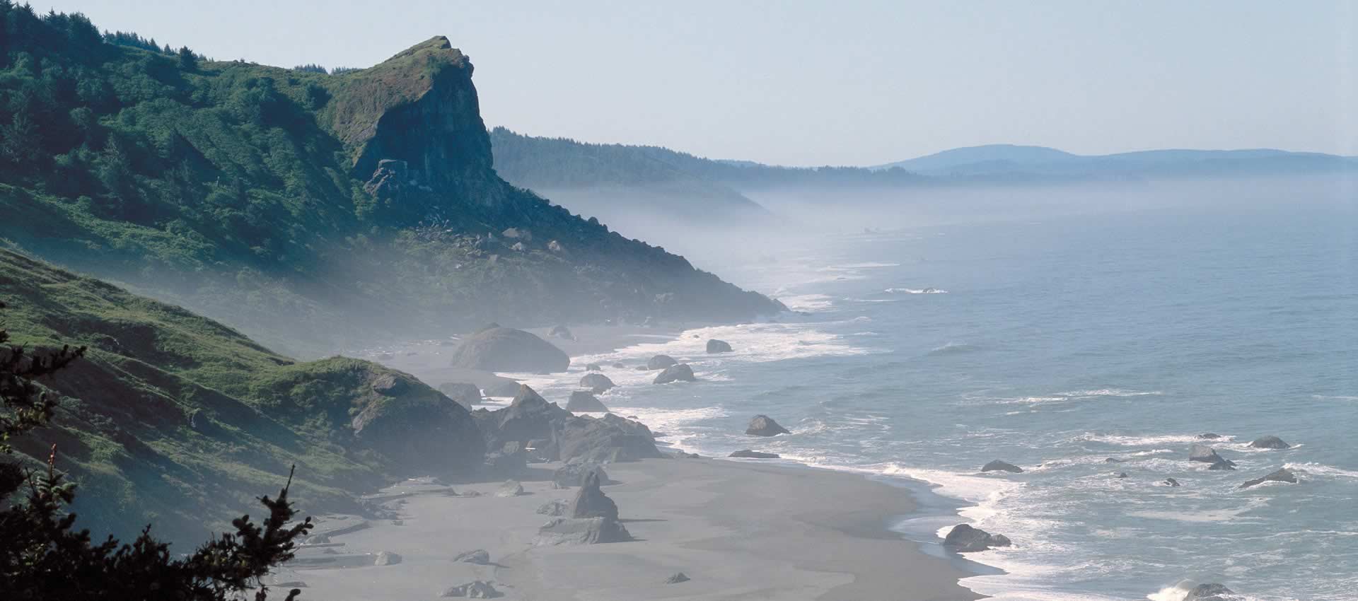 Coastal Redwoods ocean view of shoreline